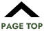 pagetop